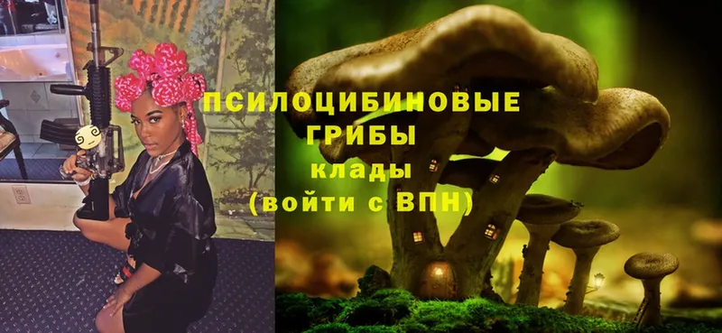 Галлюциногенные грибы MAGIC MUSHROOMS  Уварово 